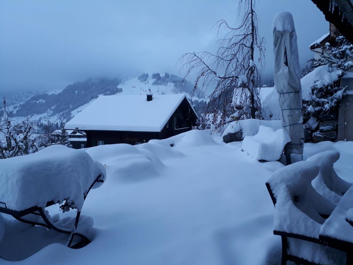 Chalet Gotthelf Gartenstudio, Ferien mit Hund Adelboden Exterior foto
