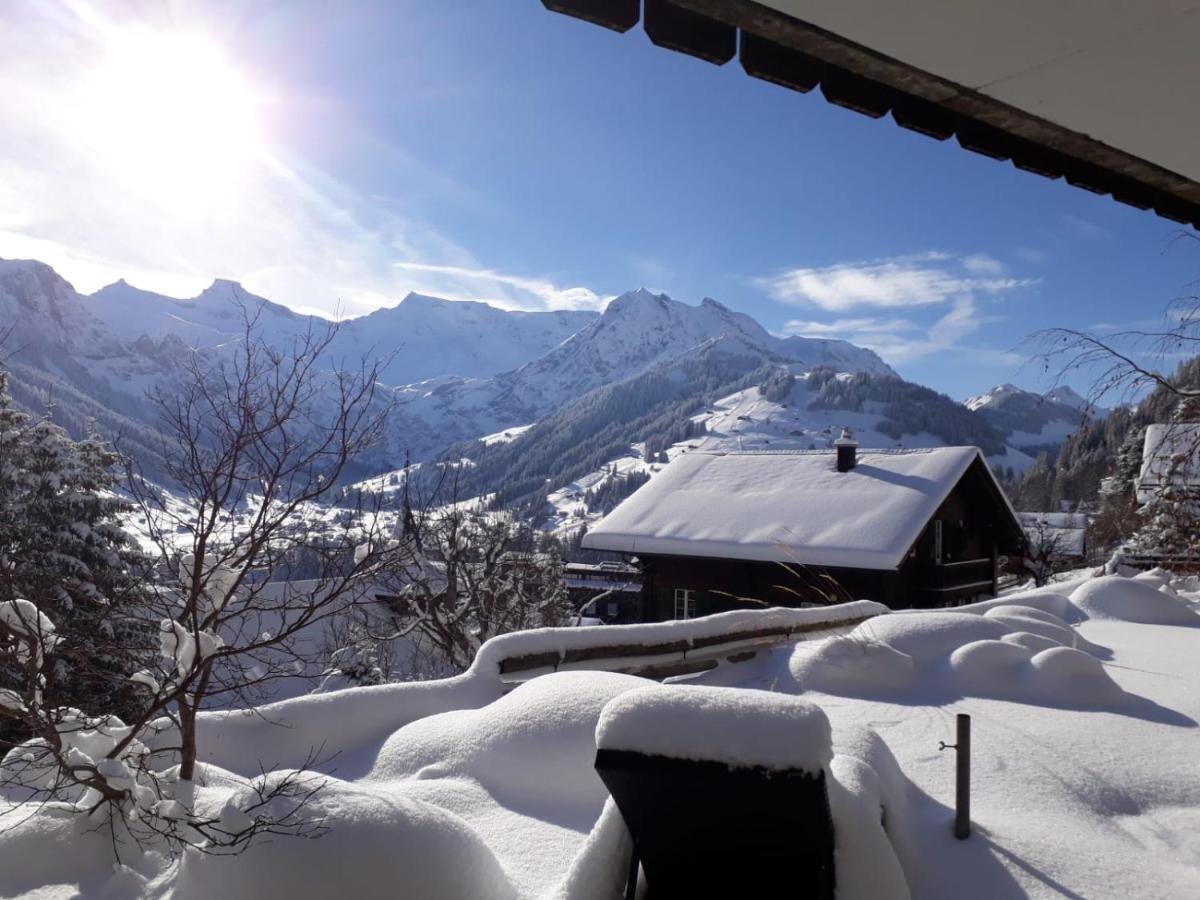 Chalet Gotthelf Gartenstudio, Ferien mit Hund Adelboden Exterior foto