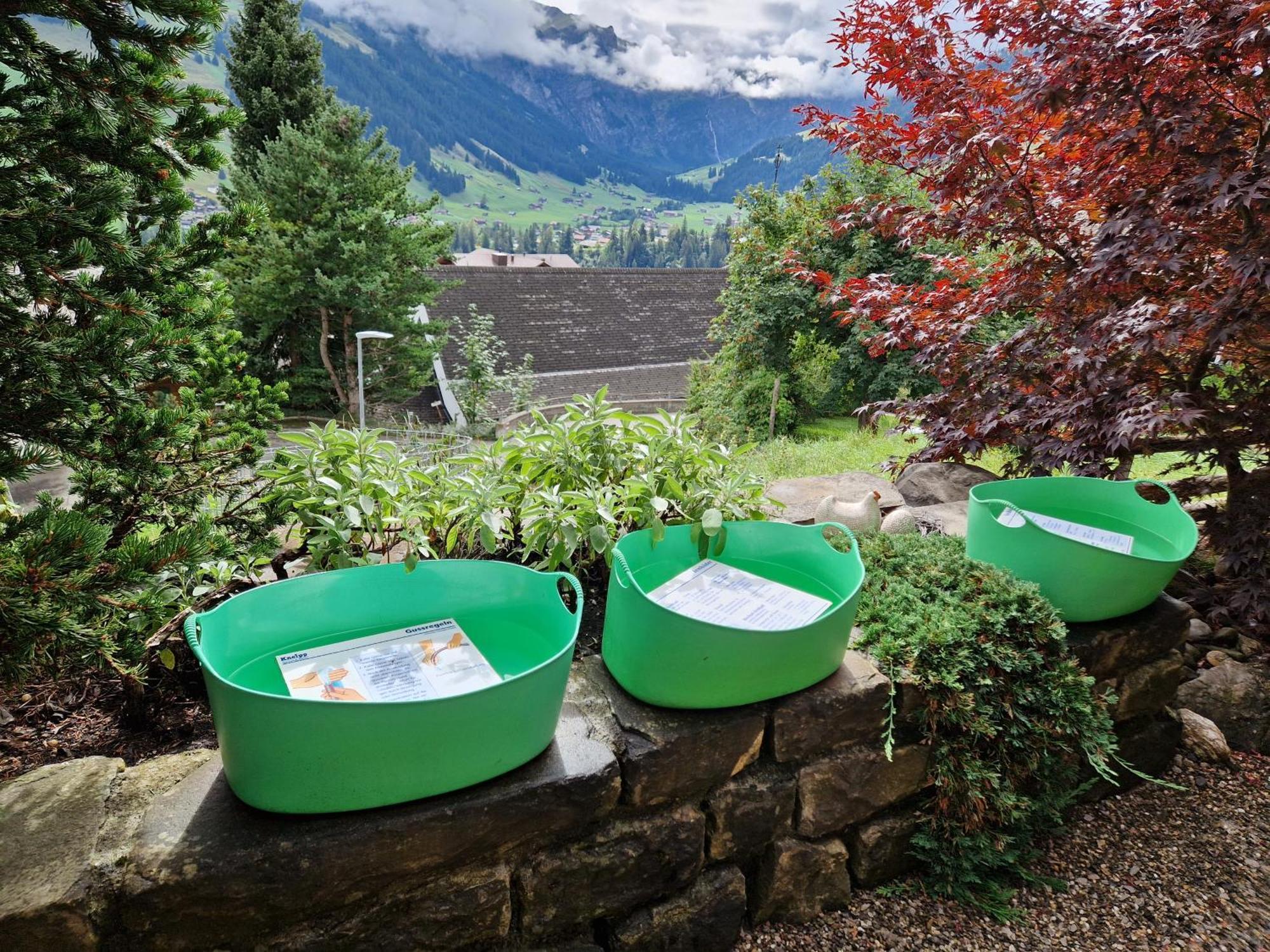 Chalet Gotthelf Gartenstudio, Ferien mit Hund Adelboden Exterior foto
